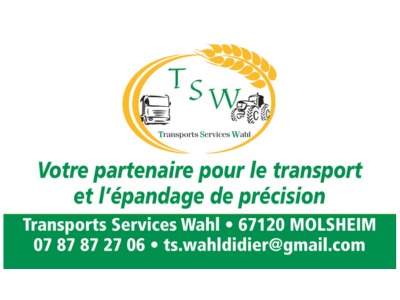 Transports-Services-Wahl